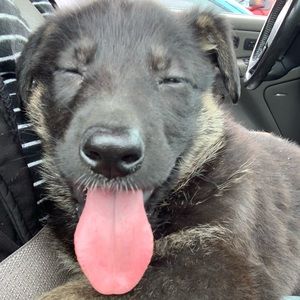 Meet your Posher, Lupe